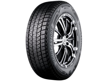 Bridgestone, BLIZZAK DM V3