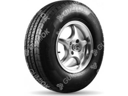 235/65R16 121/119R, Waterfall, LT-300