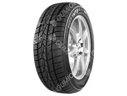 185/55R15 82H, Delinte, AW5