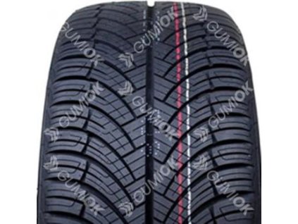 205/50R16 91W, Arivo, CARLORFUL A/S