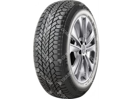 205/55R16 91H, Giti, WINTER W1