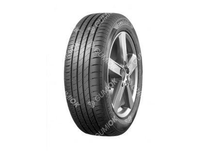 225/55R16 99W, Davanti, ECOURA HP1