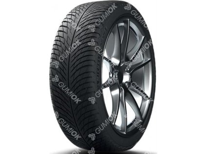MICHELIN PILOT ALPIN 5 245/35R19 93 W TL XL M+S 3PMSF FP
