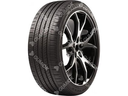 GOODYEAR EAGLE TOURING 305/30 R21 104H TL XL M+S Porsche