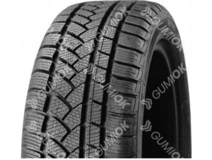 COLWAY (REG.) 790 CS 205/55R16 91 H PROTEKTOR