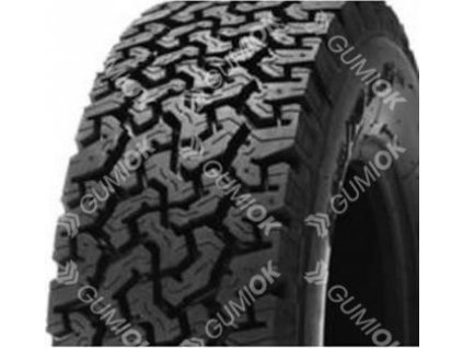 COLWAY (REG.) GLOBE-TROTTER TRAX 225/65R16 100 Q PROTEKTOR