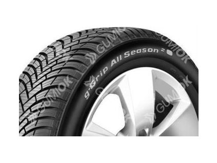 245/45R17 99W, BFGoodrich, G-GRIP ALL SEASON2