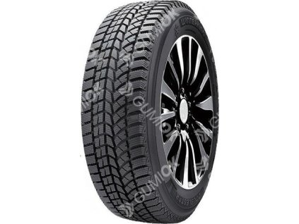 245/45R17 99T, Double Star, WINTERKING DW02