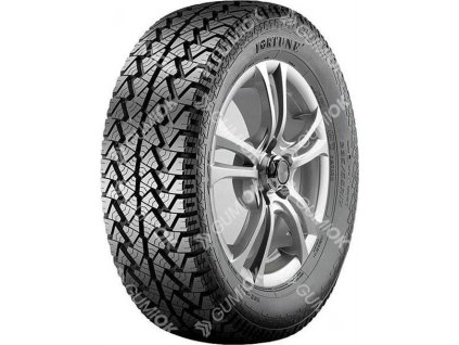 265/65R17 112T, Fortune, FSR302