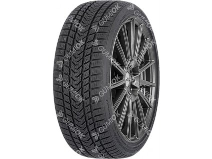 295/40R20 110V, Gripmax, SURE GRIP PRO WINTER