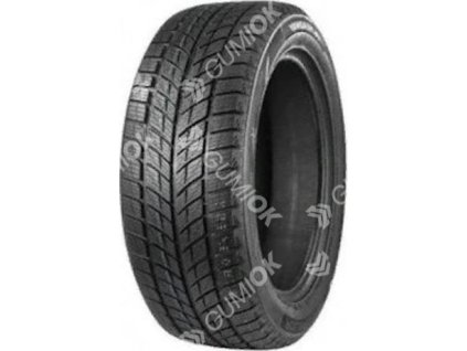 225/45R18 95T, Double Star, WINTERKING DW09