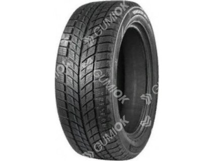 235/55R20 102H, Double Star, WINTERKING DW09