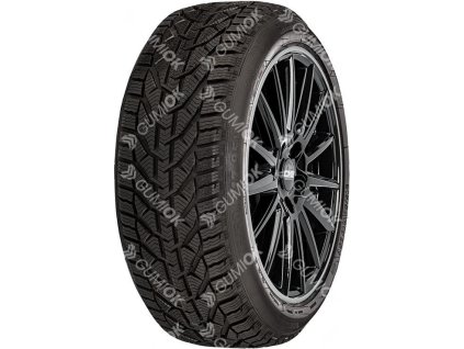 225/45R17 94V, Riken, SNOW