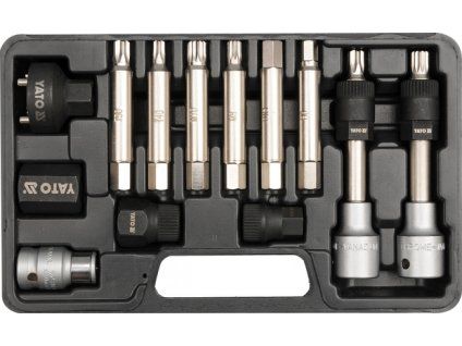 YT 0421