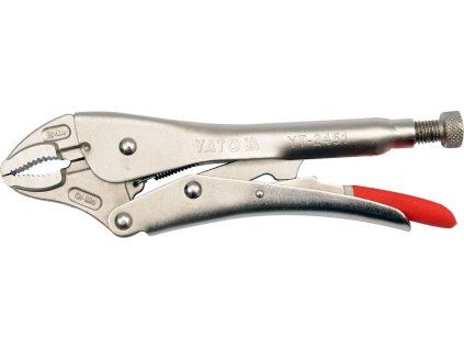 YT 2451
