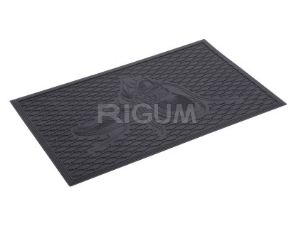 116249 stylova vstupni rohoz 720 x 460 mm