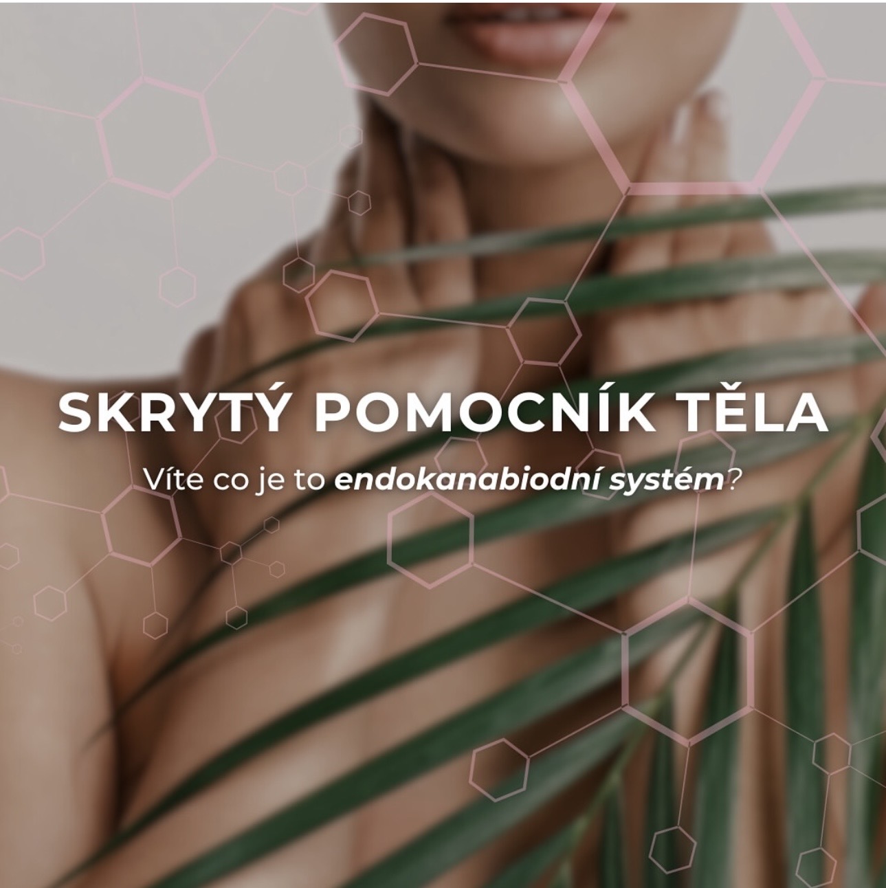 CBD, migréna a menstruace: Podpora ženské pohody