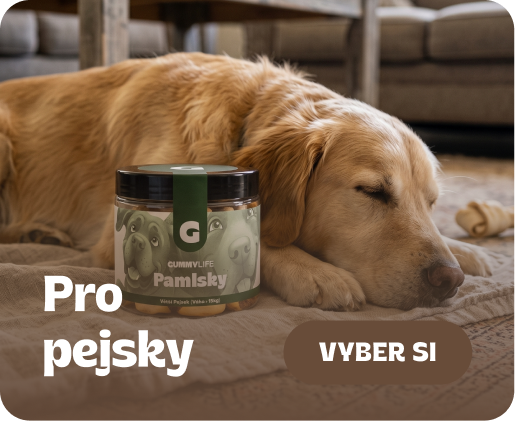 Pro pejsky