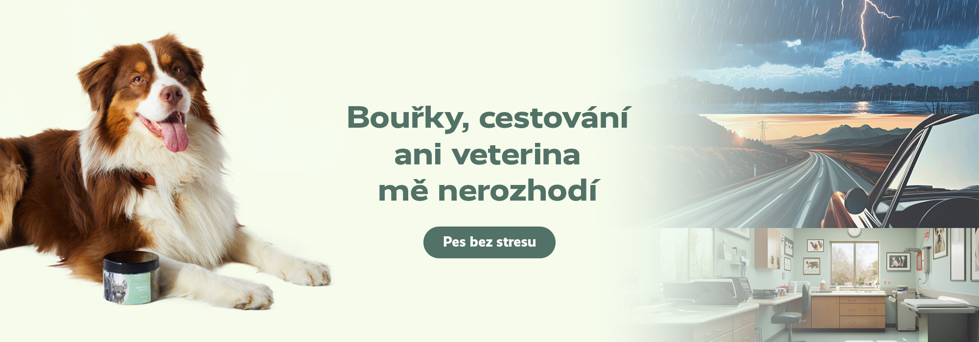 Pro pejsky