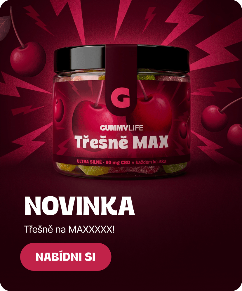 NOVINKA