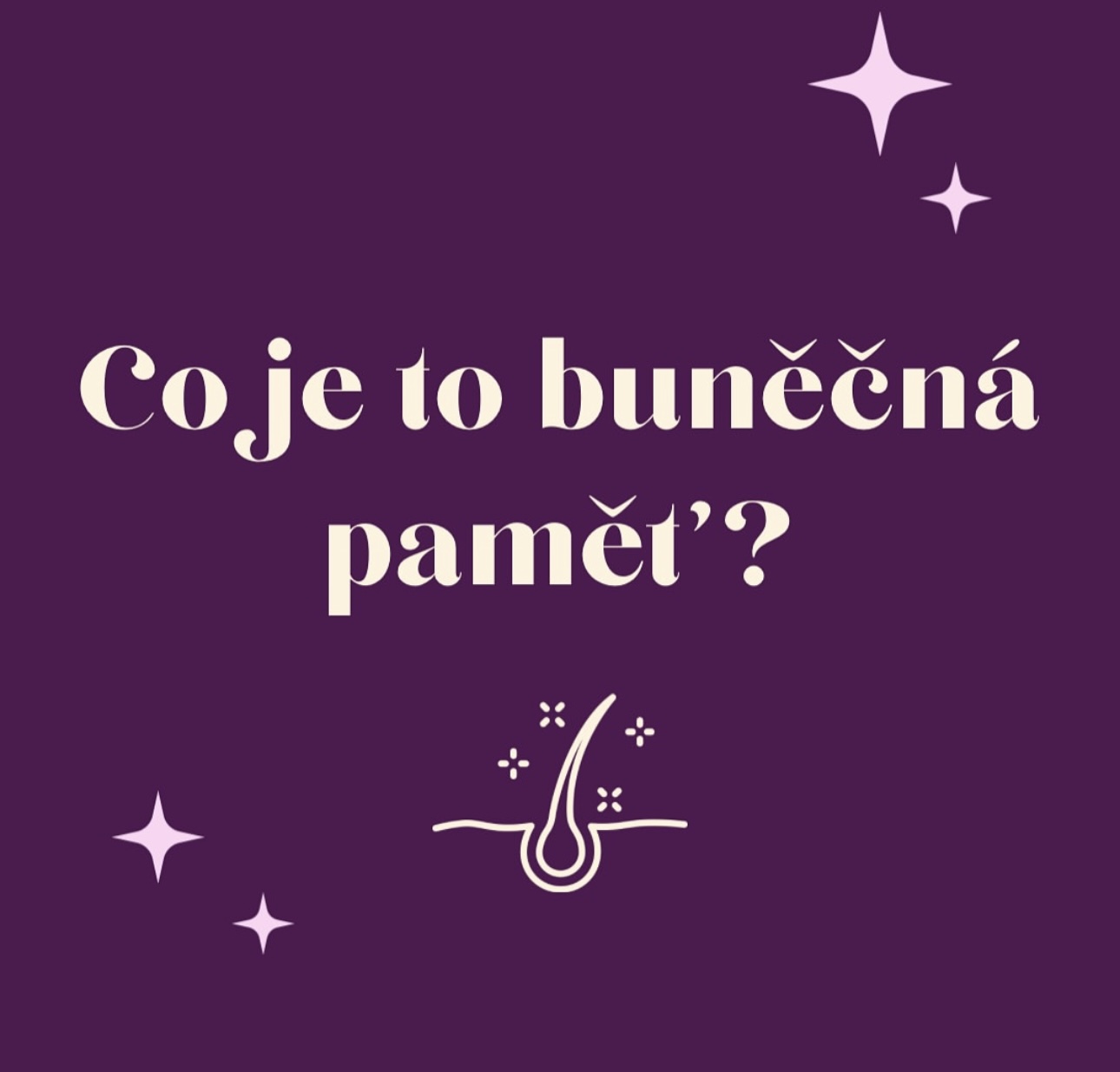 Proč je tak důležitá buněčná pamět u našich produktů ?