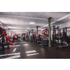 Fitness povrch 6