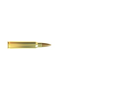 .223 REM FMJ 3,56G/55GR GGG