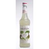 Monin Coco  Kokosový sirup 0,7l