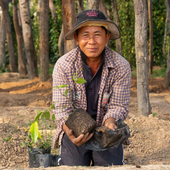 Koření a dochucovadla