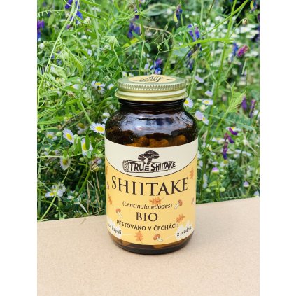 69 3 bio true shiitake 110 kapsli