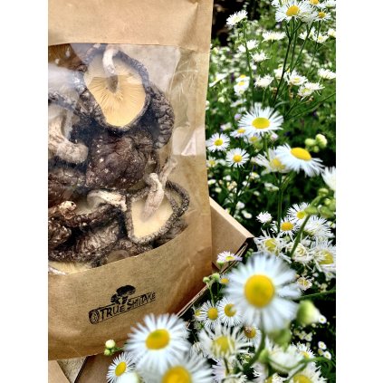 BIO True Shiitake sušené 30g/60g (Hmotnost 30 g)