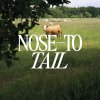 nose tail 1200px