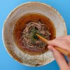 KakeSoba Rezept