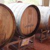sudy