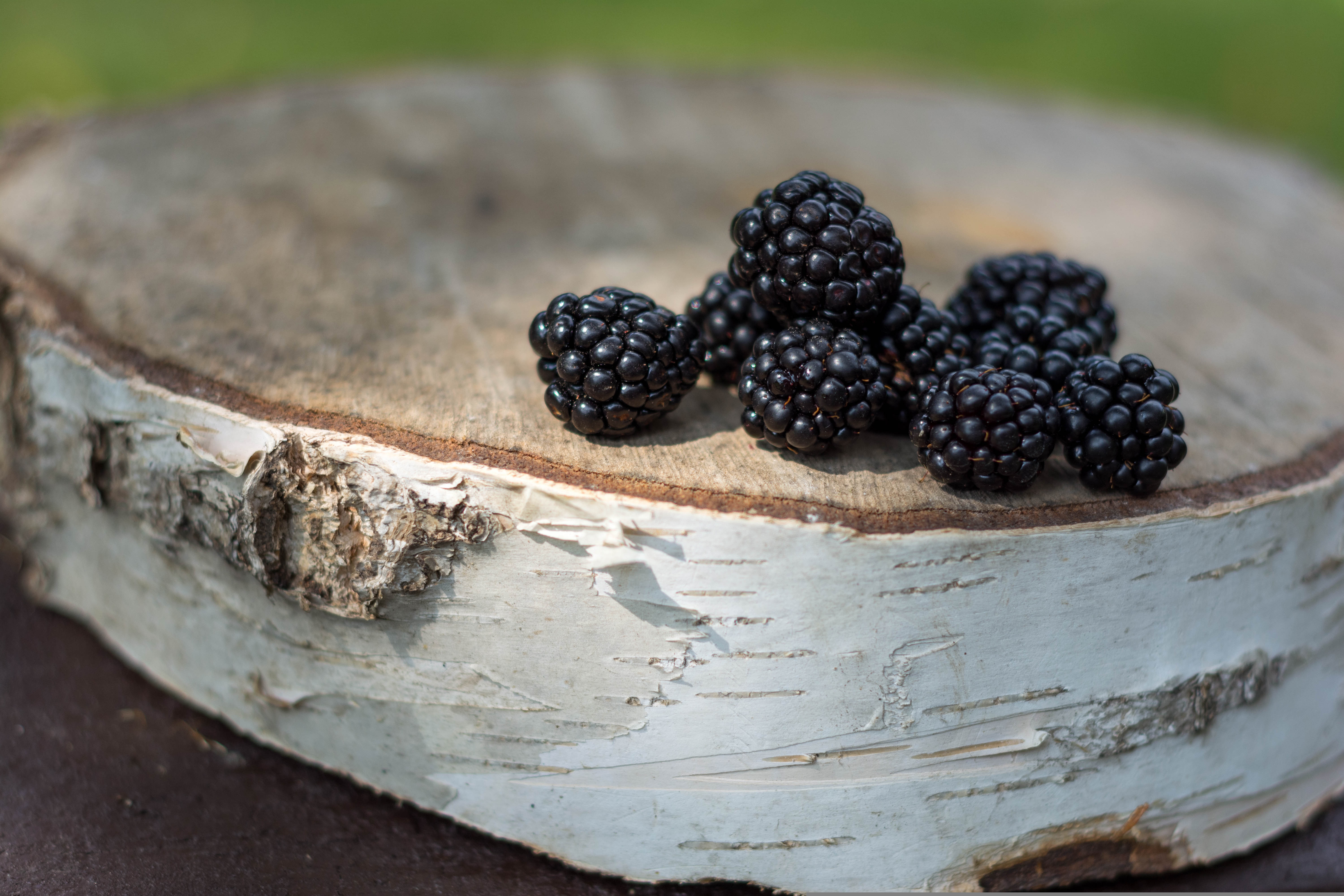 blackberries-4491042