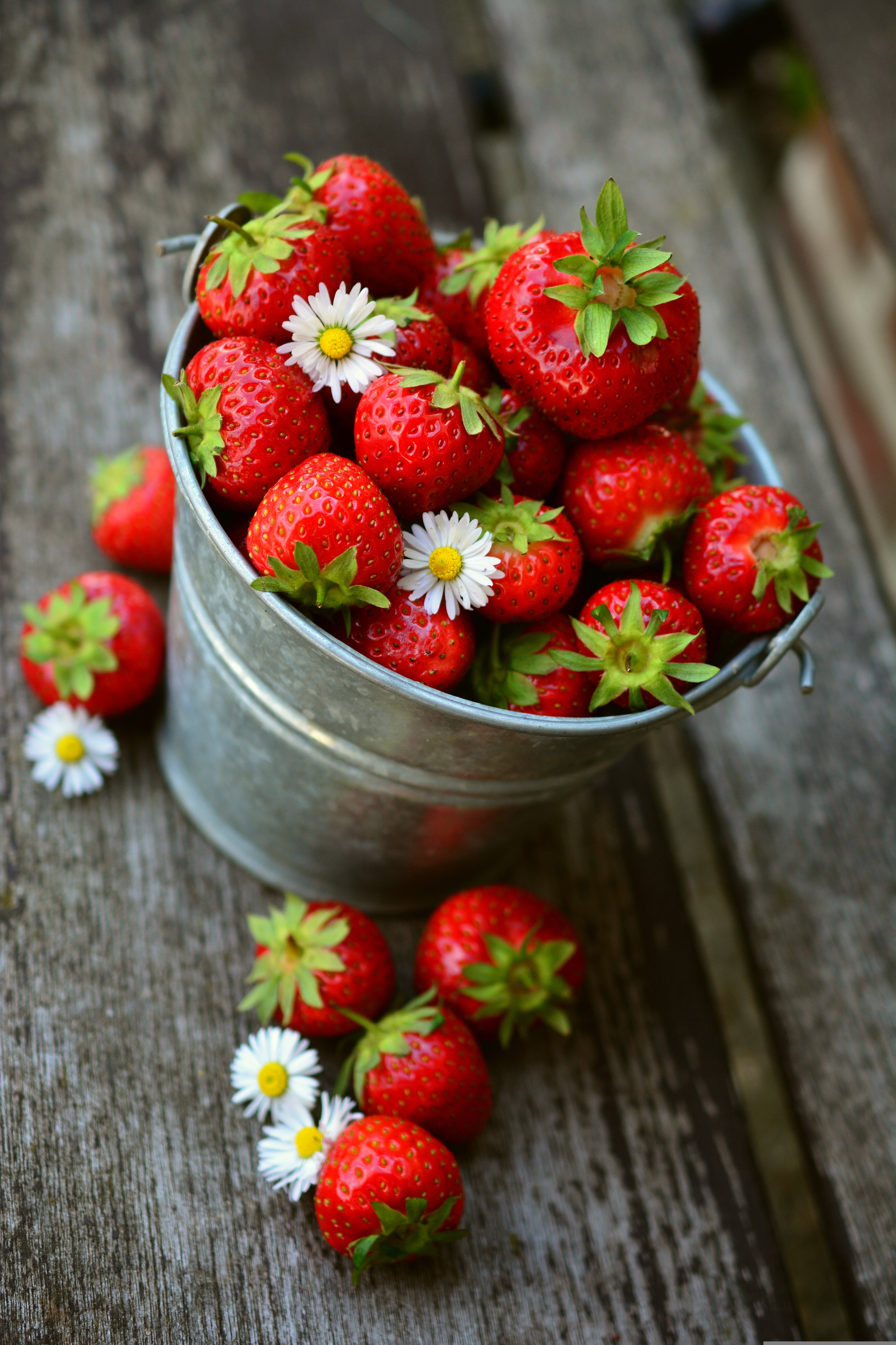 strawberries-3431119