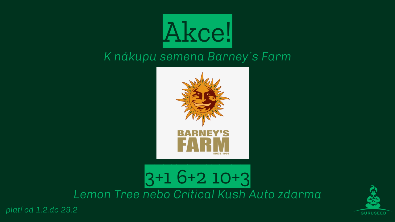Akce Barneys Farm