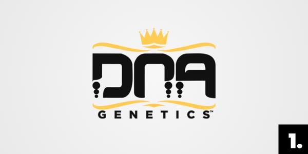 DNA Genetics