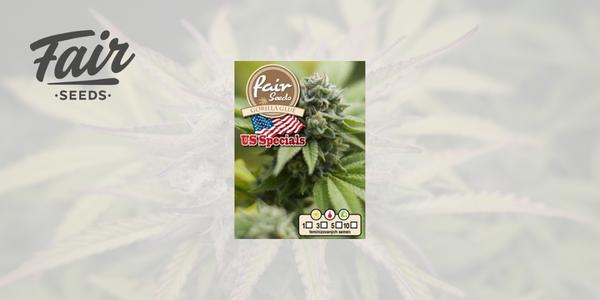 Gorilla Glue od Fair Seeds