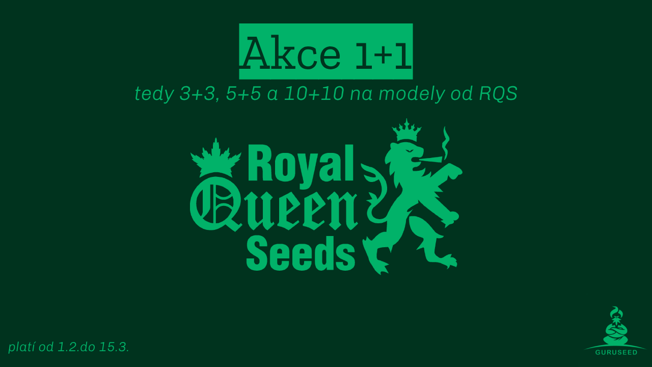 Akce Royal Queen Seeds