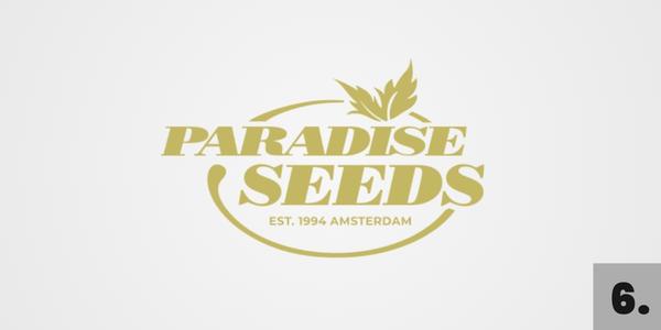 Semena konopí Paradise Seeds