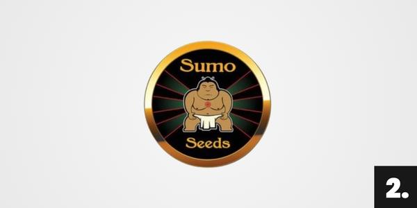 Semena konopí Sumo Seeds