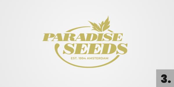 Semena marihuany Paradise Seeds