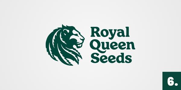 Semena marihuany Royal Queen Seeds