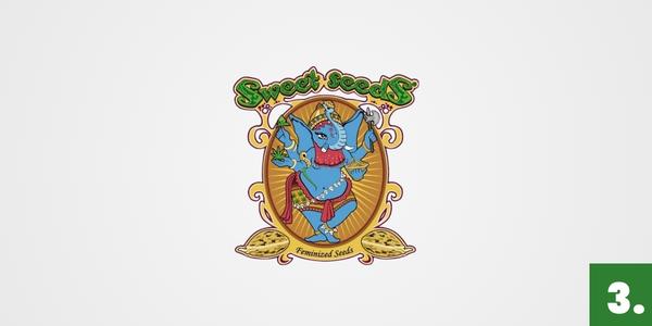 Semena marihuany Sweet Seeds