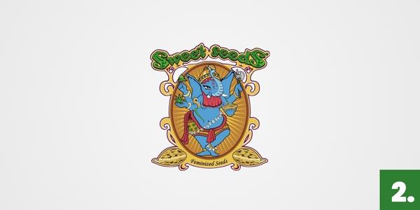 Semena marihuany Sweet Seeds