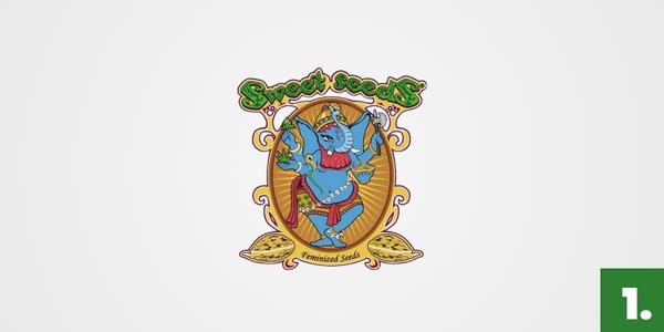 Sweet Seeds - semena marihuany