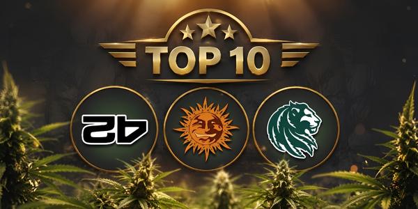 Top 10 nejoblíbenějších seedbank mezi pěstiteli