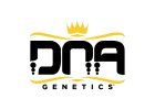 DNA Genetics - semena marihuany, semena konopí