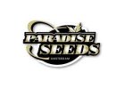 Paradise Seeds - semena marihuany, semena konopí